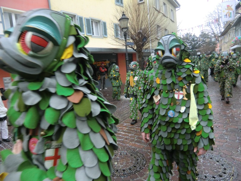 ../Images/2013-01-20_Narrentreffen-Froschen-Radolfzell_189.jpg