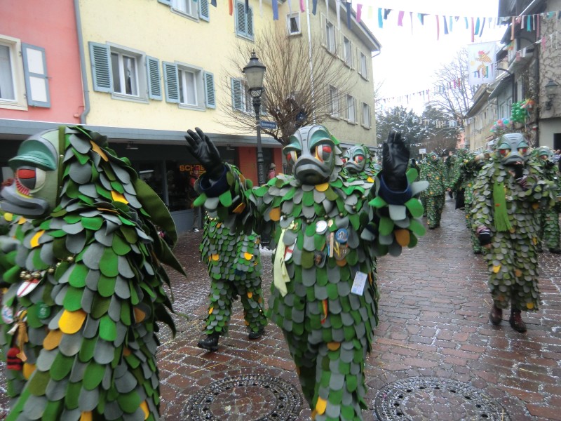 ../Images/2013-01-20_Narrentreffen-Froschen-Radolfzell_190.jpg