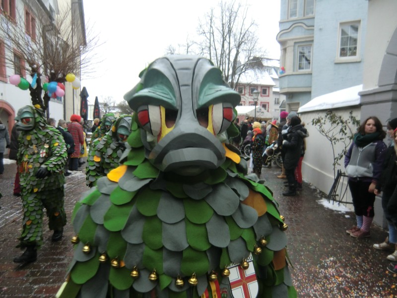 ../Images/2013-01-20_Narrentreffen-Froschen-Radolfzell_196.jpg