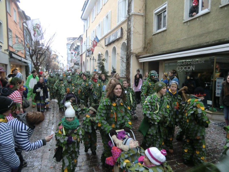 ../Images/2013-01-20_Narrentreffen-Froschen-Radolfzell_201.jpg