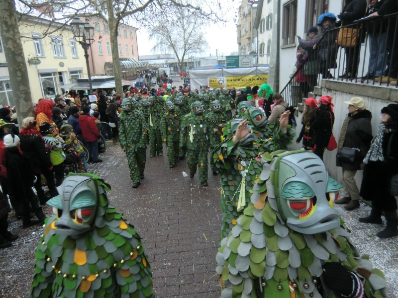 ../Images/2013-01-20_Narrentreffen-Froschen-Radolfzell_206.jpg