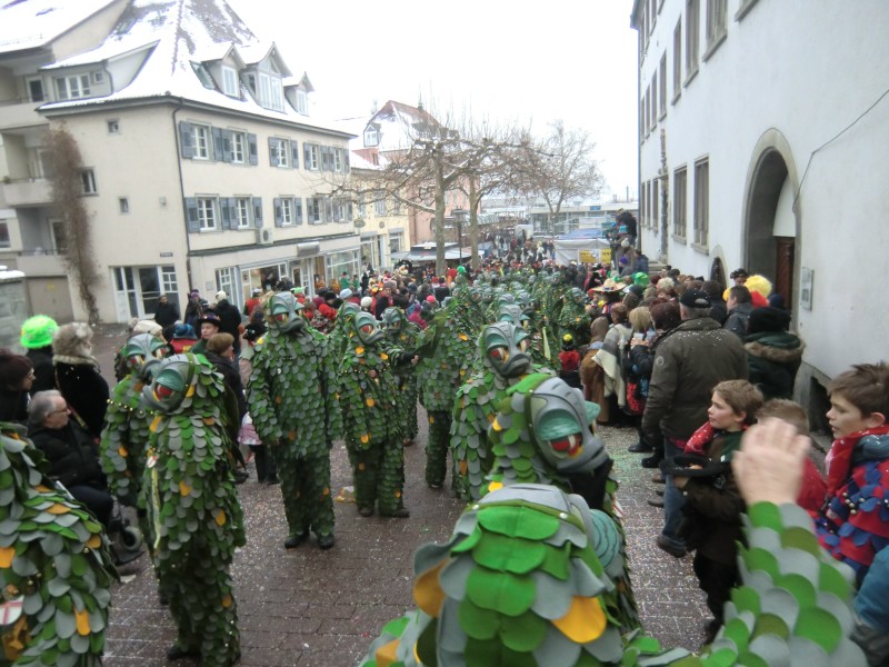 ../Images/2013-01-20_Narrentreffen-Froschen-Radolfzell_207.jpg