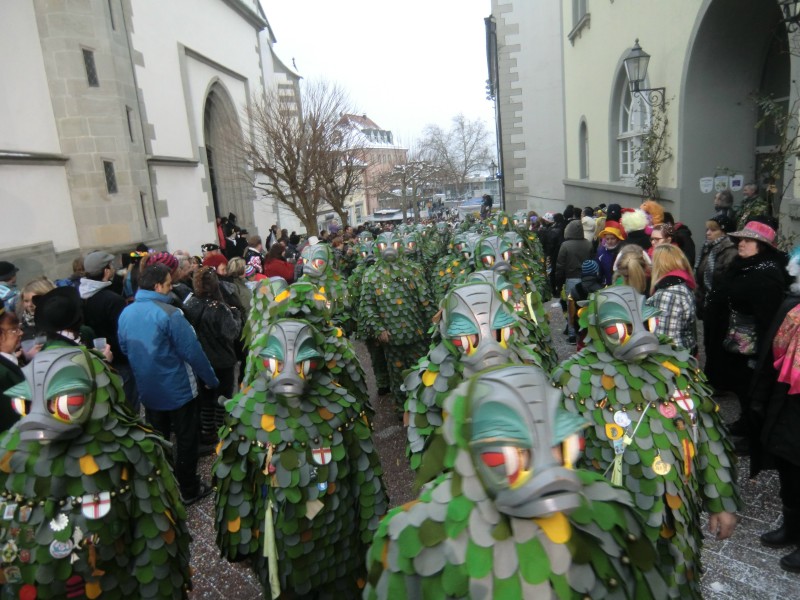 ../Images/2013-01-20_Narrentreffen-Froschen-Radolfzell_211.jpg