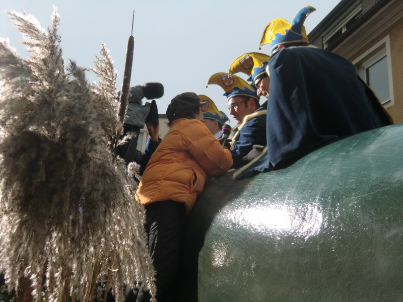 ../Images/2013-01-20_Narrentreffen-Froschen-Radolfzell_213.jpg