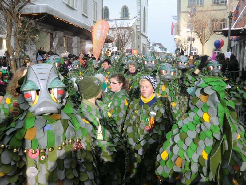 ../Images/2013-01-20_Narrentreffen-Froschen-Radolfzell_219.jpg