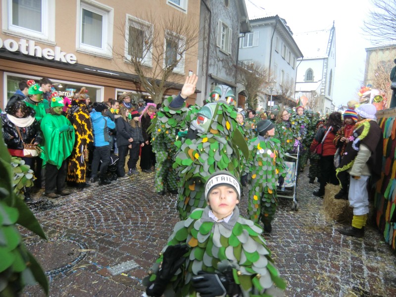 ../Images/2013-01-20_Narrentreffen-Froschen-Radolfzell_222.jpg
