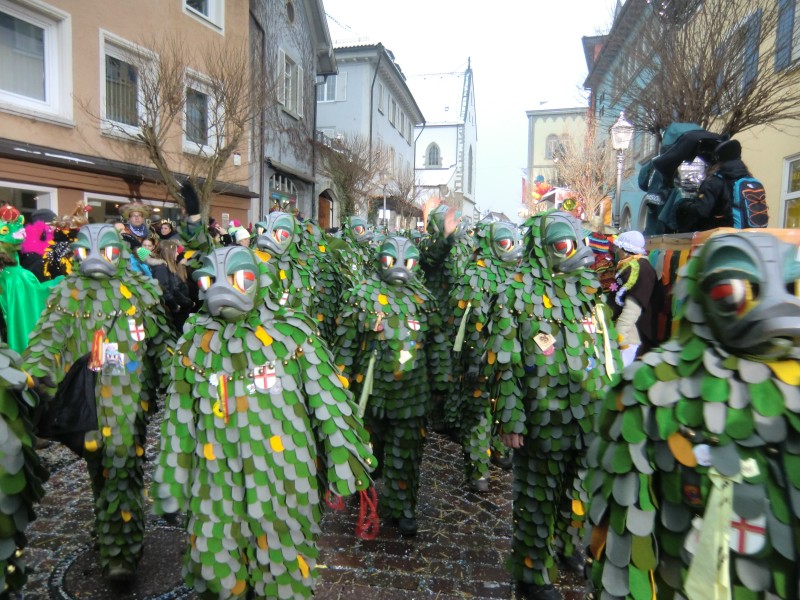 ../Images/2013-01-20_Narrentreffen-Froschen-Radolfzell_227.jpg