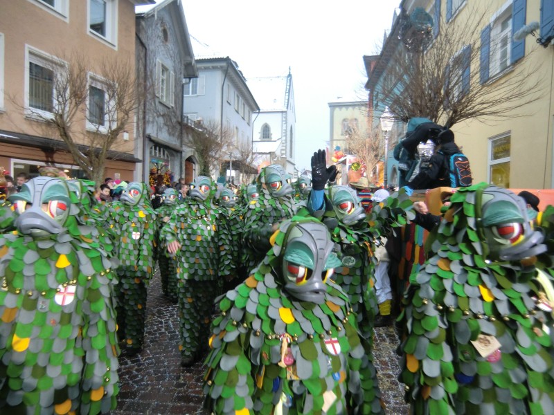 ../Images/2013-01-20_Narrentreffen-Froschen-Radolfzell_228.jpg
