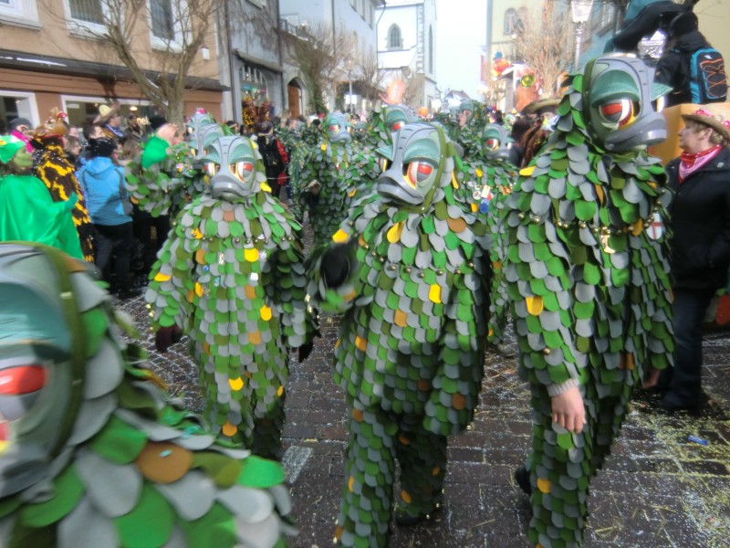 ../Images/2013-01-20_Narrentreffen-Froschen-Radolfzell_230.jpg