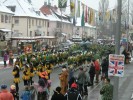 Thumbs/tn_2013-01-20_Narrentreffen-Froschen-Radolfzell_055.jpg