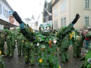 Thumbs/tn_2013-01-20_Narrentreffen-Froschen-Radolfzell_121.jpg