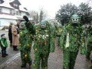 Thumbs/tn_2013-01-20_Narrentreffen-Froschen-Radolfzell_178.jpg