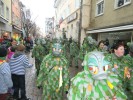 Thumbs/tn_2013-01-20_Narrentreffen-Froschen-Radolfzell_203.jpg
