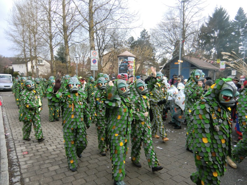 ../Images/2013-02-03_Seenarrenumzug-Dettingen_030.jpg
