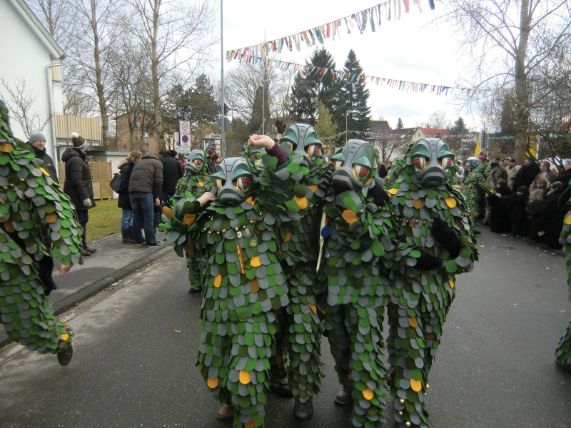 ../Images/2013-02-03_Seenarrenumzug-Dettingen_036.jpg