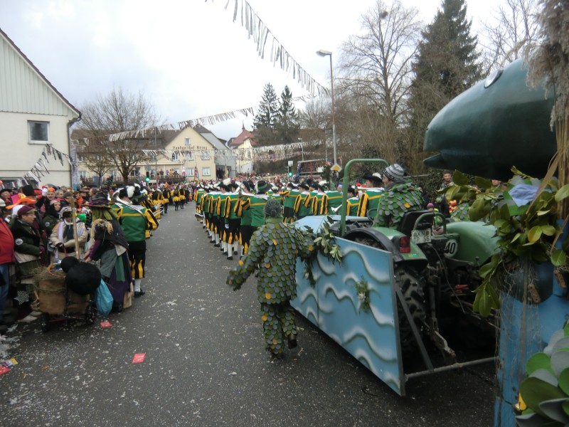 ../Images/2013-02-03_Seenarrenumzug-Dettingen_043.jpg