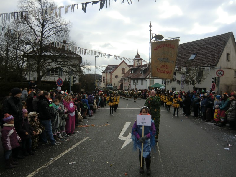 ../Images/2013-02-03_Seenarrenumzug-Dettingen_044.jpg