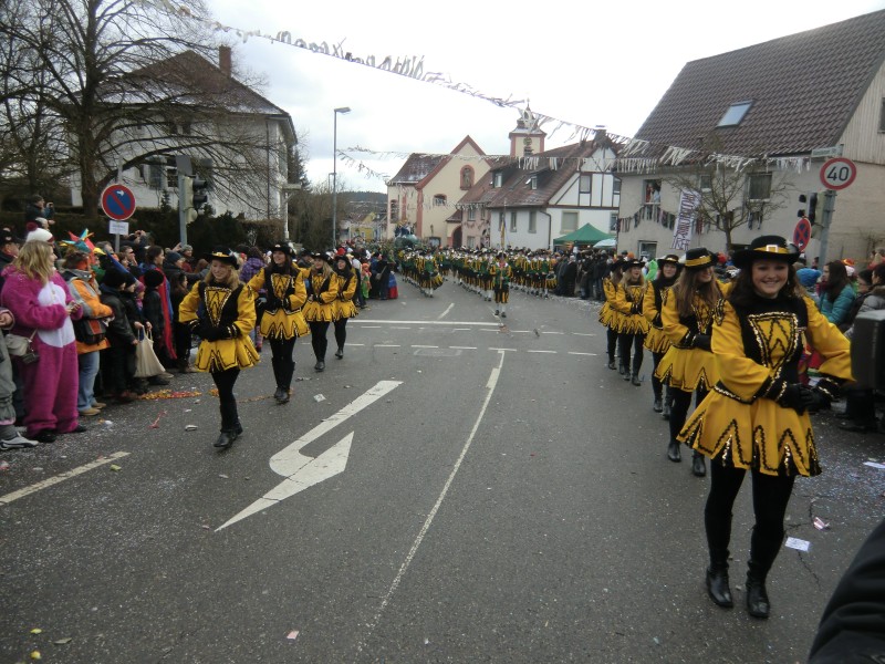 ../Images/2013-02-03_Seenarrenumzug-Dettingen_045.jpg
