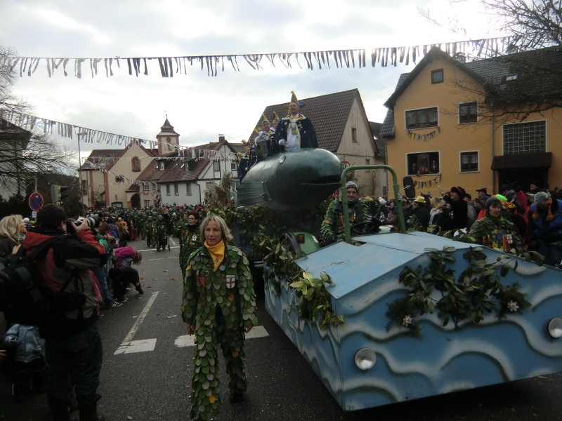 ../Images/2013-02-03_Seenarrenumzug-Dettingen_053.jpg