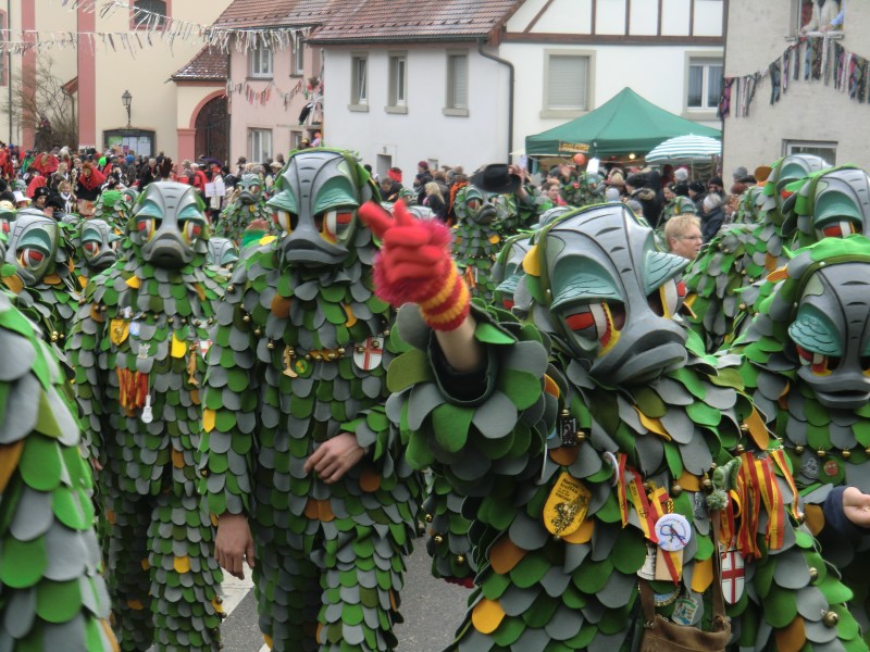../Images/2013-02-03_Seenarrenumzug-Dettingen_060.jpg