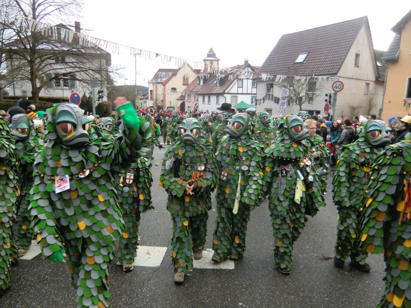 ../Images/2013-02-03_Seenarrenumzug-Dettingen_063.jpg