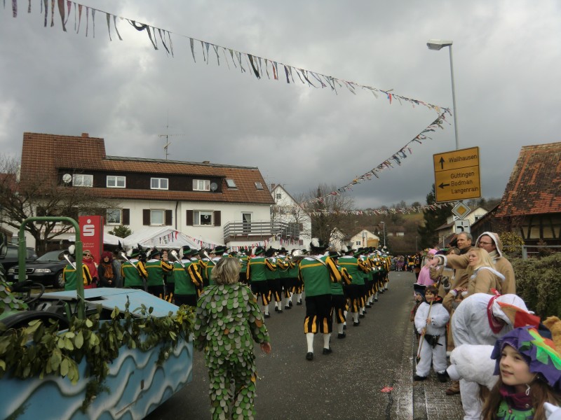 ../Images/2013-02-03_Seenarrenumzug-Dettingen_074.jpg