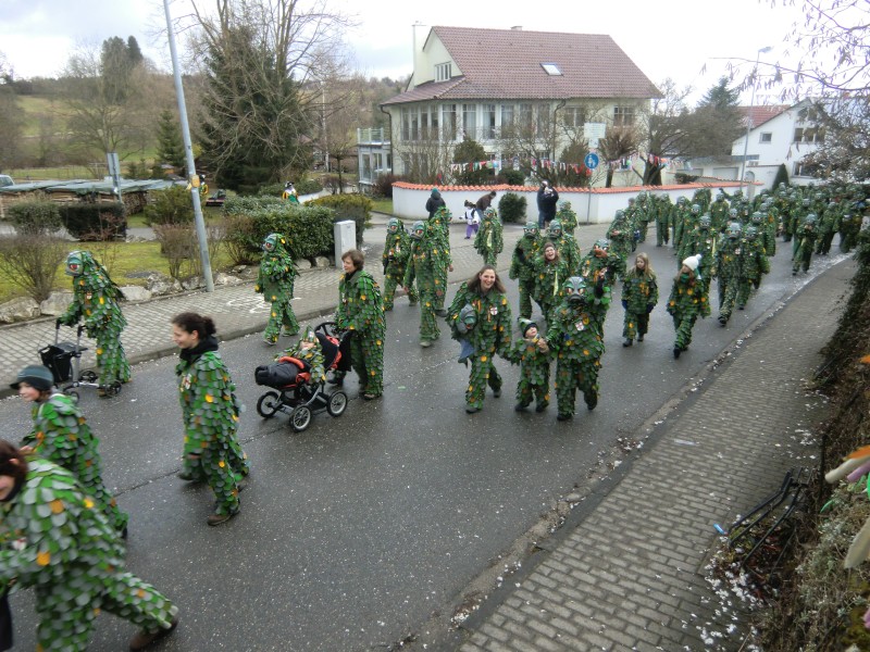 ../Images/2013-02-03_Seenarrenumzug-Dettingen_082.jpg