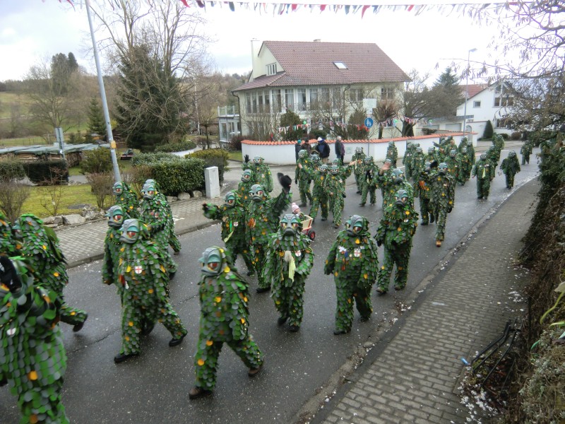 ../Images/2013-02-03_Seenarrenumzug-Dettingen_087.jpg