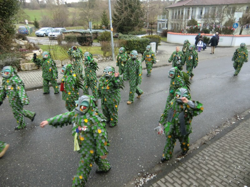 ../Images/2013-02-03_Seenarrenumzug-Dettingen_090.jpg
