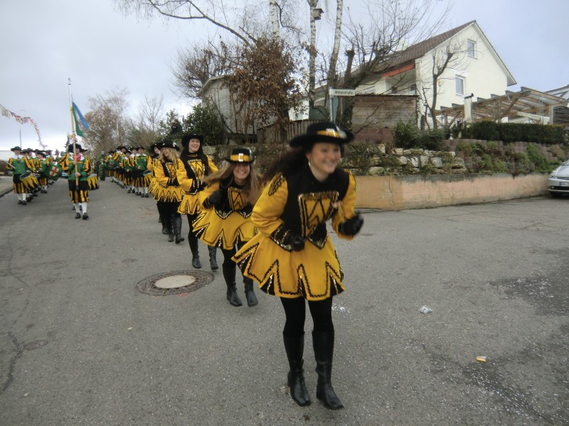 ../Images/2013-02-03_Seenarrenumzug-Dettingen_095.jpg