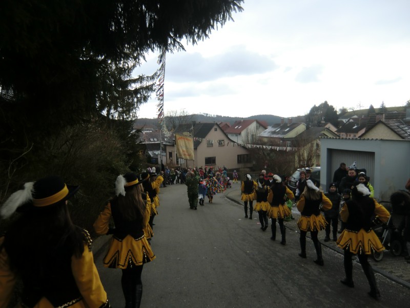 ../Images/2013-02-03_Seenarrenumzug-Dettingen_098.jpg