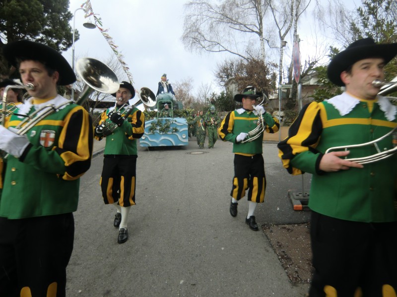 ../Images/2013-02-03_Seenarrenumzug-Dettingen_103.jpg