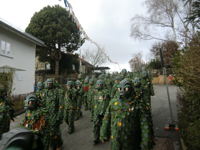 ../Images/2013-02-03_Seenarrenumzug-Dettingen_110.jpg
