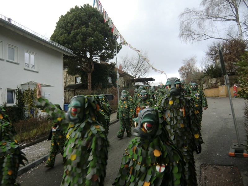 ../Images/2013-02-03_Seenarrenumzug-Dettingen_111.jpg
