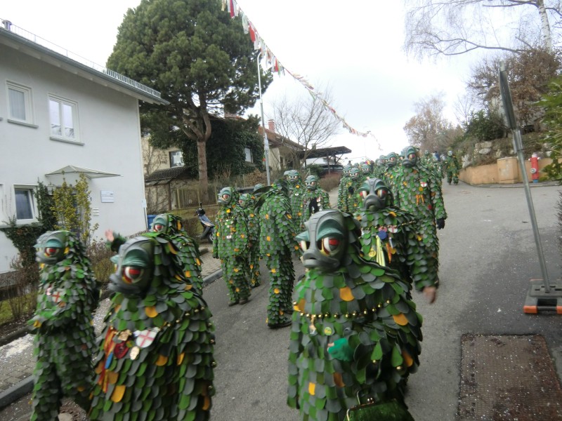 ../Images/2013-02-03_Seenarrenumzug-Dettingen_112.jpg