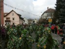 Thumbs/tn_2013-02-03_Seenarrenumzug-Dettingen_042.jpg