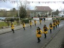 Thumbs/tn_2013-02-03_Seenarrenumzug-Dettingen_076.jpg