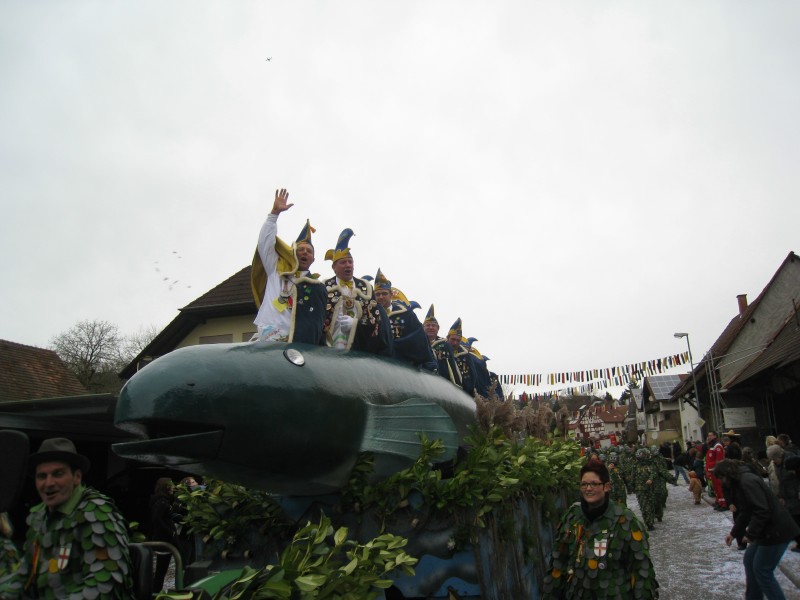 ../Images/2014-02-16_Narrenumzug-Erzingen_023.jpg