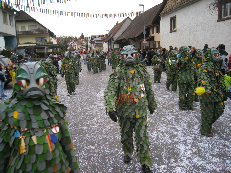 ../Images/2014-02-16_Narrenumzug-Erzingen_031.jpg