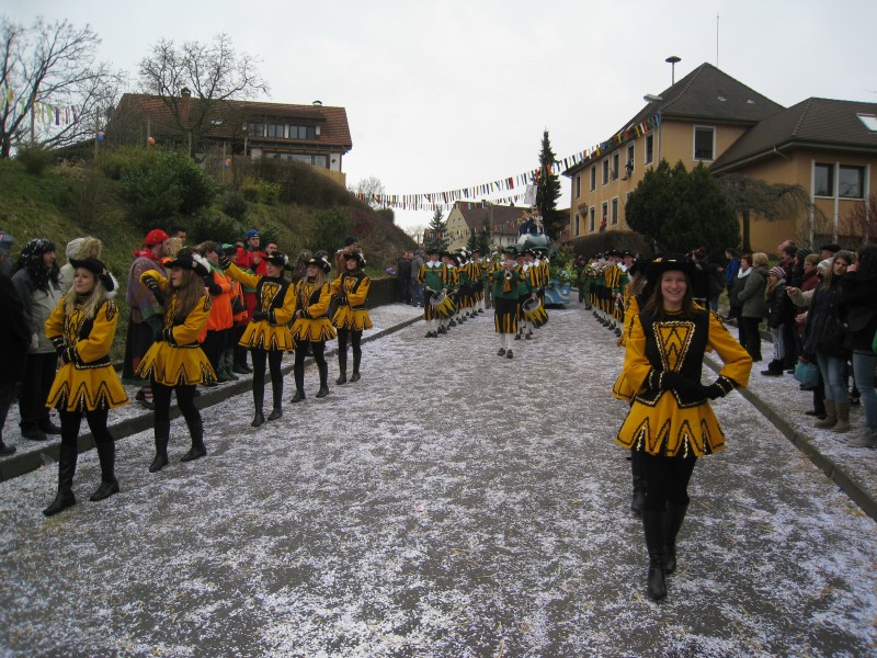 ../Images/2014-02-16_Narrenumzug-Erzingen_038.jpg