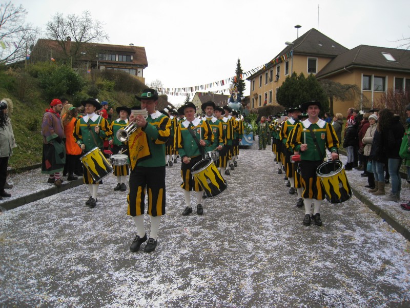 ../Images/2014-02-16_Narrenumzug-Erzingen_039.jpg