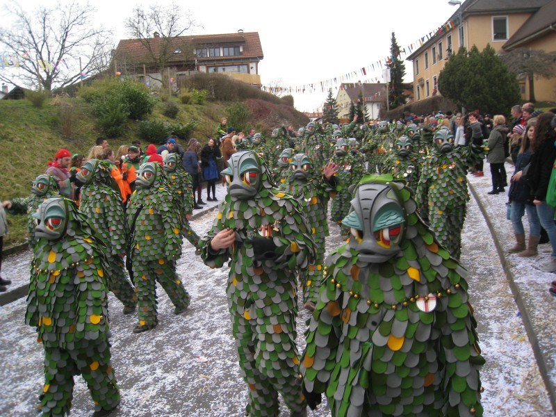 ../Images/2014-02-16_Narrenumzug-Erzingen_047.jpg