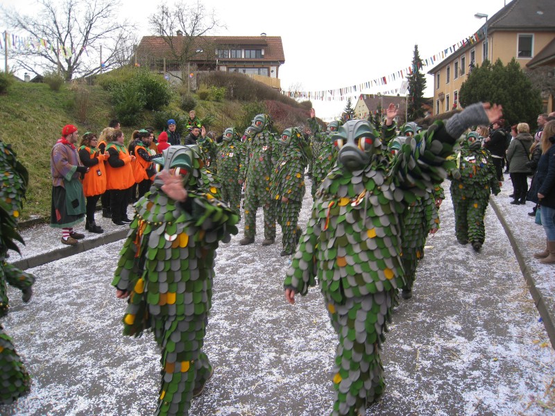 ../Images/2014-02-16_Narrenumzug-Erzingen_048.jpg