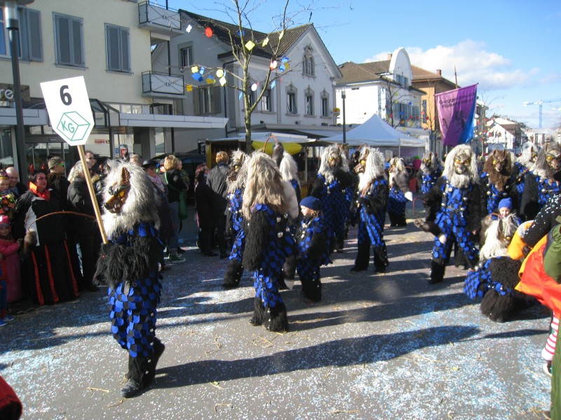 ../Images/2014-02-23_Fasnachtsparade-Kreuzlingen_016.jpg