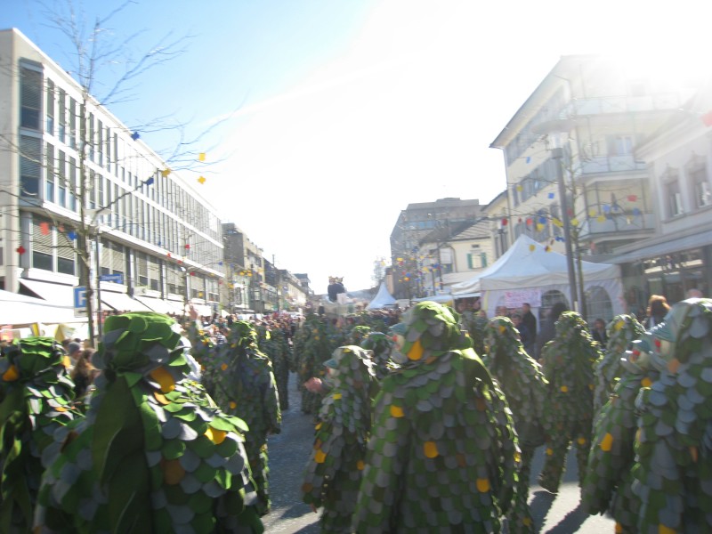 ../Images/2014-02-23_Fasnachtsparade-Kreuzlingen_037.jpg