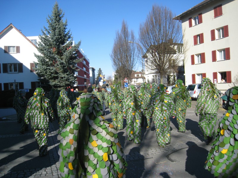 ../Images/2014-02-23_Fasnachtsparade-Kreuzlingen_067.jpg