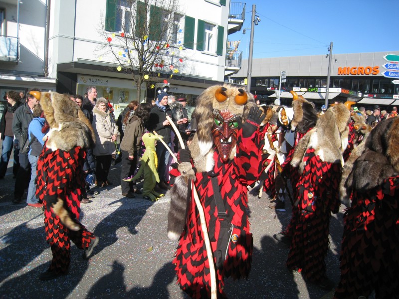 ../Images/2014-02-23_Fasnachtsparade-Kreuzlingen_101.jpg