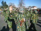 Thumbs/tn_2014-02-23_Fasnachtsparade-Kreuzlingen_059.jpg