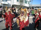 Thumbs/tn_2014-02-23_Fasnachtsparade-Kreuzlingen_100.jpg