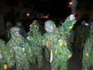 Thumbs/tn_2015-01-23_Grundele-Nachtumzug-Dingelsdorf_034.jpg